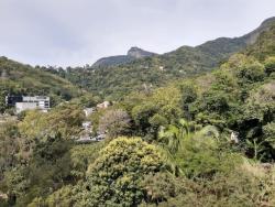 Apartamento para Venda em Rio de Janeiro - 3