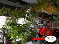 #NAJAI011V - Apartamento para Venda em Niterói - RJ - 2